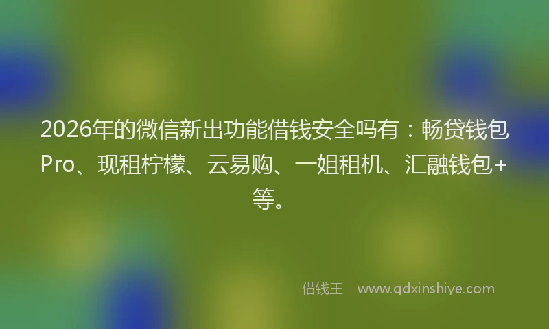 2026年的微信新出功能借钱安全吗有：畅贷钱包Pro、现租柠檬、云易购、一姐租机、汇融钱包+等。