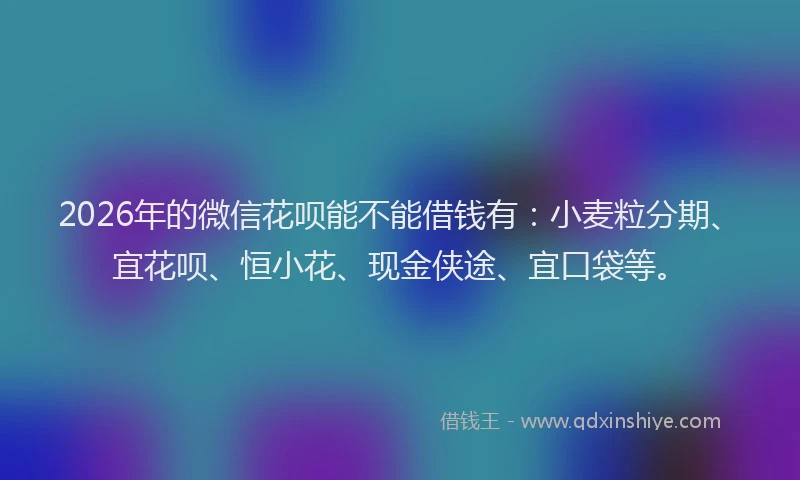 2026年的微信花呗能不能借钱有：小麦粒分期、宜花呗、恒小花、现金侠途、宜口袋等。