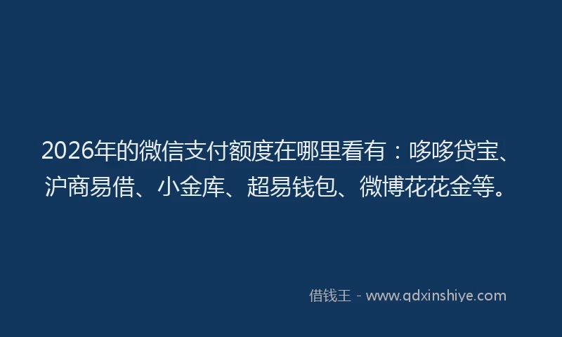 2026年的微信支付额度在哪里看有：哆哆贷宝、沪商易借、小金库、超易钱包、微博花花金等。