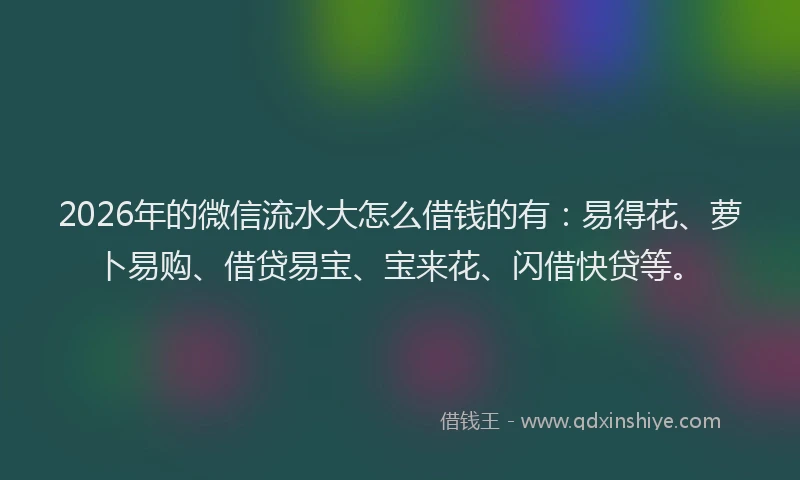 2026年的微信流水大怎么借钱的有：易得花、萝卜易购、借贷易宝、宝来花、闪借快贷等。