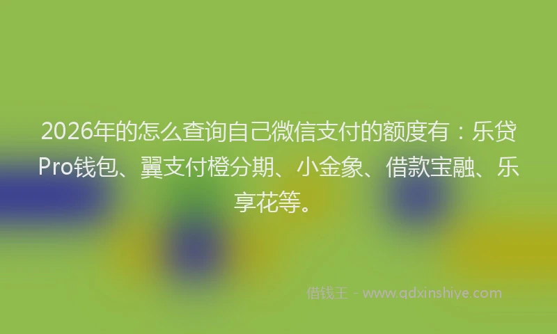 2026年的怎么查询自己微信支付的额度有：乐贷Pro钱包、翼支付橙分期、小金象、借款宝融、乐享花等。