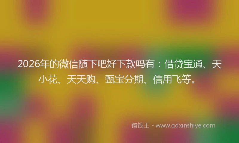 2026年的微信随下吧好下款吗有：借贷宝通、天小花、天天购、甄宝分期、信用飞等。