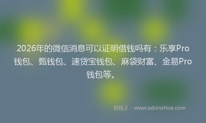 2026年的微信消息可以证明借钱吗有：乐享Pro钱包、甄钱包、速贷宝钱包、麻袋财富、金易Pro钱包等。