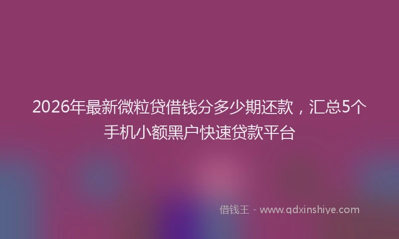 2026年最新微粒贷借钱分多少期还款，汇总5个手机小额黑户快速贷款平台