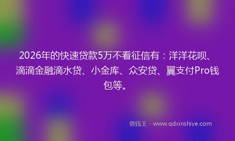 2026年的快速贷款5万不看征信有：洋洋花呗、滴滴金融滴水贷、小金库、众安贷、翼支付Pro钱包等。