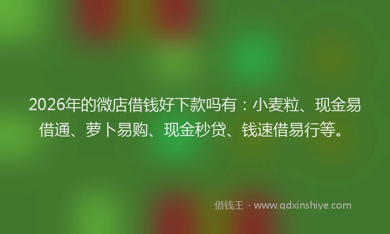 2026年的微店借钱好下款吗有：小麦粒、现金易借通、萝卜易购、现金秒贷、钱速借易行等。