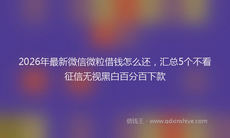 2026年最新微信微粒借钱怎么还，汇总5个不看征信无视黑白百分百下款