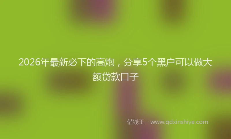 2026年最新必下的高炮，分享5个黑户可以做大额贷款口子