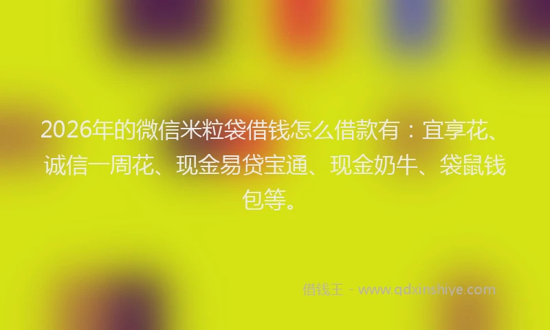 2026年的微信米粒袋借钱怎么借款有：宜享花、诚信一周花、现金易贷宝通、现金奶牛、袋鼠钱包等。