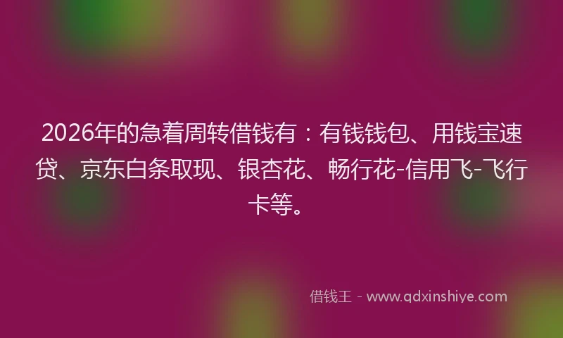 2026年的急着周转借钱有：有钱钱包、用钱宝速贷、京东白条取现、银杏花、畅行花-信用飞-飞行卡等。