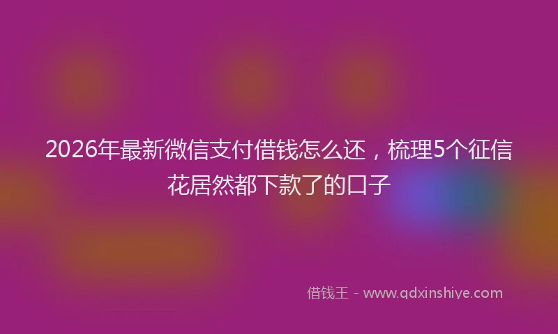2026年最新微信支付借钱怎么还，梳理5个征信花居然都下款了的口子
