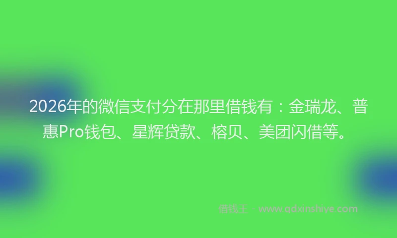 2026年的微信支付分在那里借钱有：金瑞龙、普惠Pro钱包、星辉贷款、榕贝、美团闪借等。
