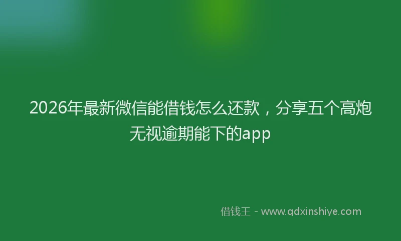 2026年最新微信能借钱怎么还款，分享五个高炮无视逾期能下的app