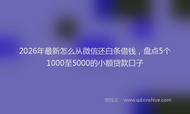 2026年最新怎么从微信还白条借钱，盘点5个1000至5000的小额贷款口子