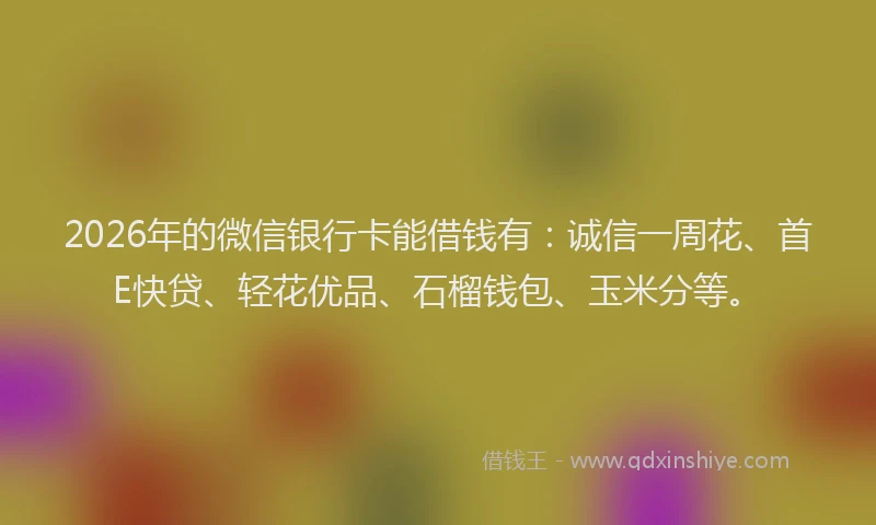 2026年的微信银行卡能借钱有：诚信一周花、首E快贷、轻花优品、石榴钱包、玉米分等。