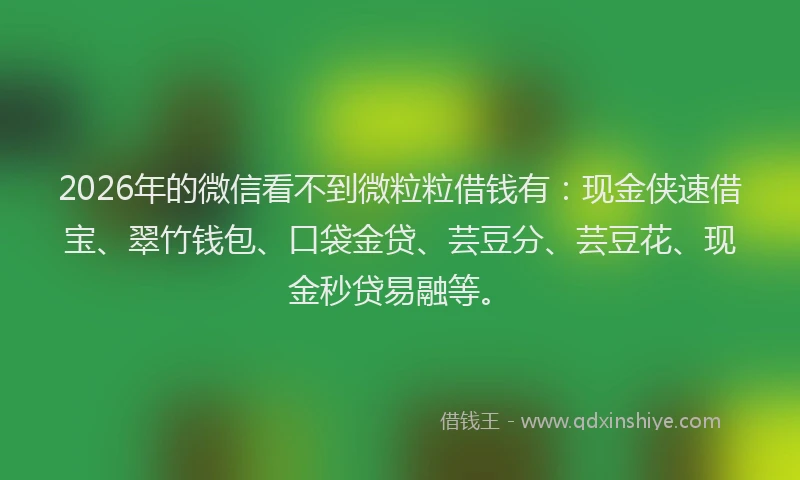 2026年的微信看不到微粒粒借钱有：现金侠速借宝、翠竹钱包、口袋金贷、芸豆分、芸豆花、现金秒贷易融等。