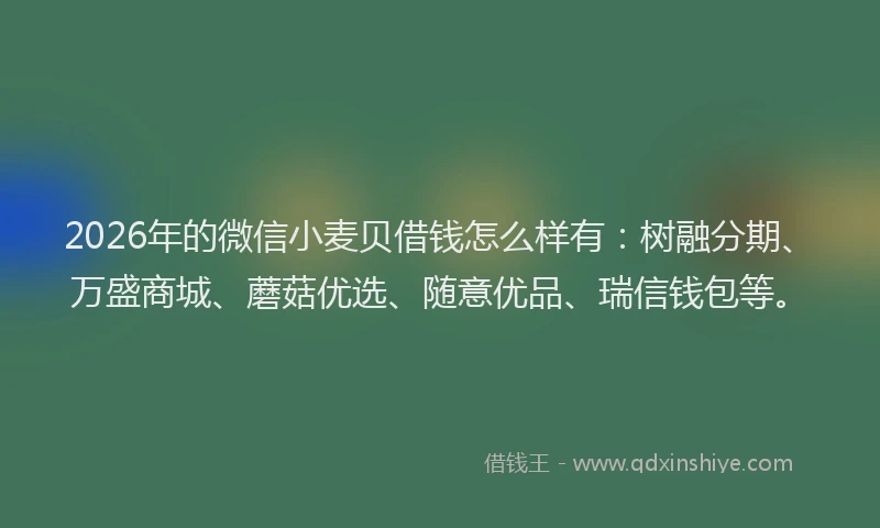 2026年的微信小麦贝借钱怎么样有：树融分期、万盛商城、蘑菇优选、随意优品、瑞信钱包等。