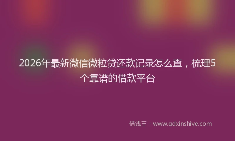 2026年最新微信微粒贷还款记录怎么查，梳理5个靠谱的借款平台