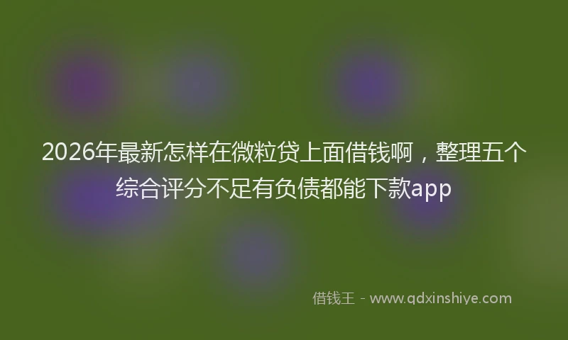 2026年最新怎样在微粒贷上面借钱啊，整理五个综合评分不足有负债都能下款app