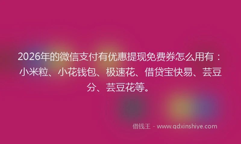 2026年的微信支付有优惠提现免费券怎么用有：小米粒、小花钱包、极速花、借贷宝快易、芸豆分、芸豆花等。