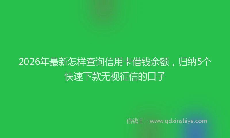2026年最新怎样查询信用卡借钱余额，归纳5个快速下款无视征信的口子