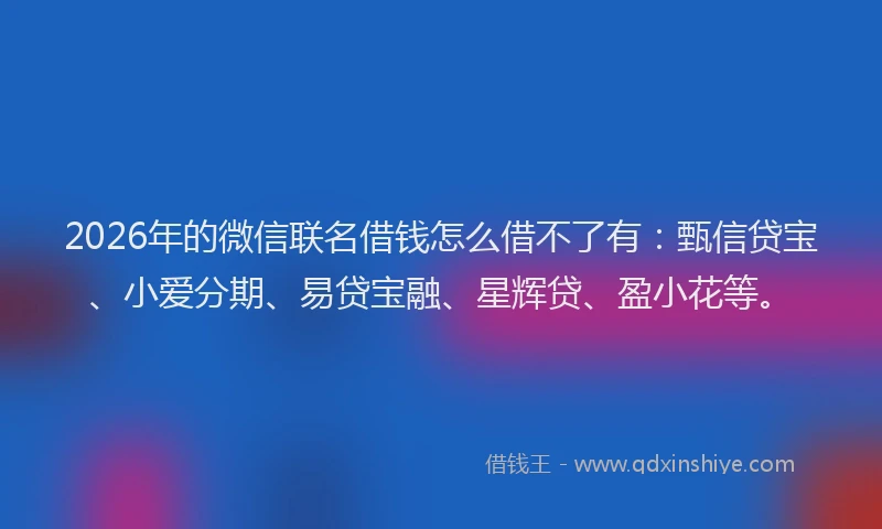 2026年的微信联名借钱怎么借不了有：甄信贷宝、小爱分期、易贷宝融、星辉贷、盈小花等。