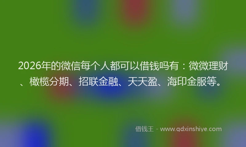 2026年的微信每个人都可以借钱吗有：微微理财、橄榄分期、招联金融、天天盈、海印金服等。