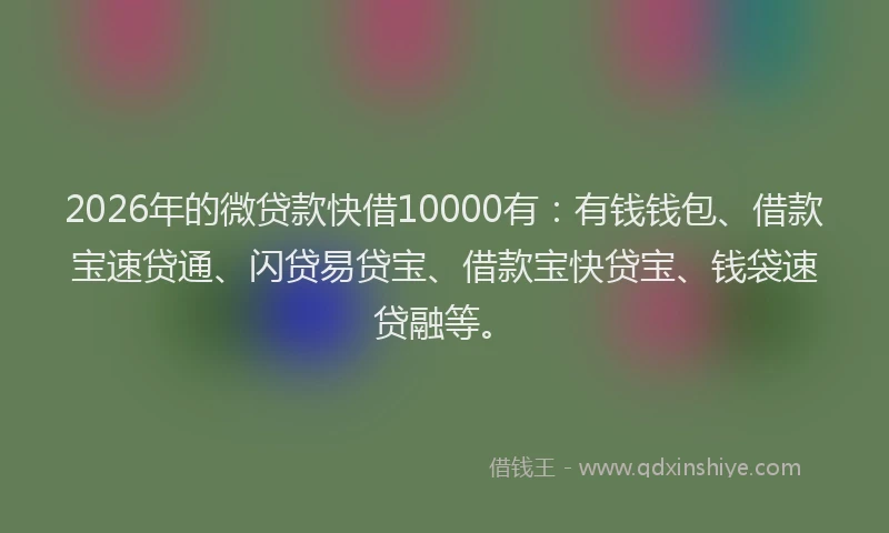 2026年的微贷款快借10000有：有钱钱包、借款宝速贷通、闪贷易贷宝、借款宝快贷宝、钱袋速贷融等。