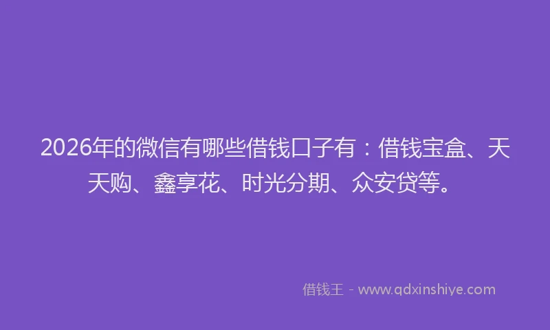 2026年的微信有哪些借钱口子有：借钱宝盒、天天购、鑫享花、时光分期、众安贷等。