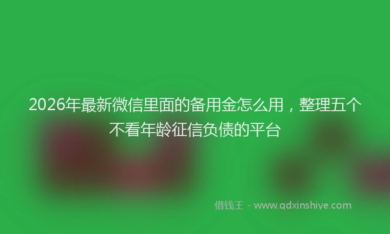 2026年最新微信里面的备用金怎么用，整理五个不看年龄征信负债的平台