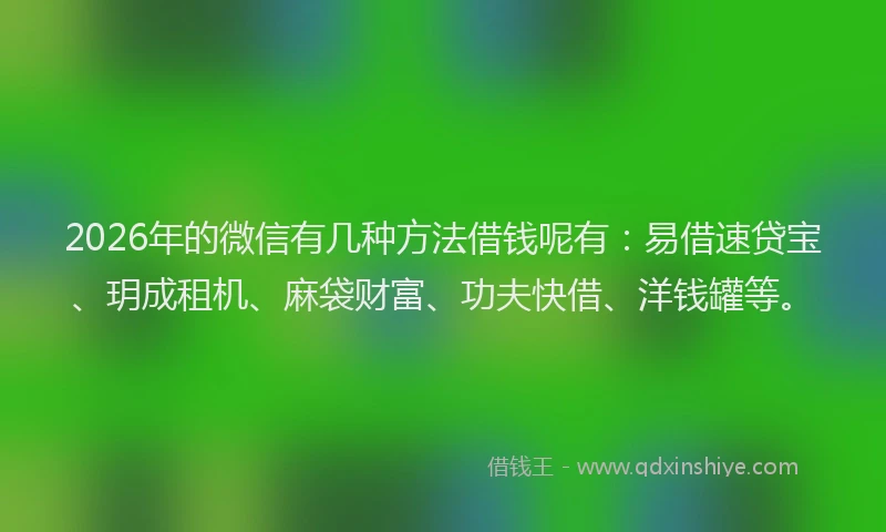 2026年的微信有几种方法借钱呢有：易借速贷宝、玥成租机、麻袋财富、功夫快借、洋钱罐等。