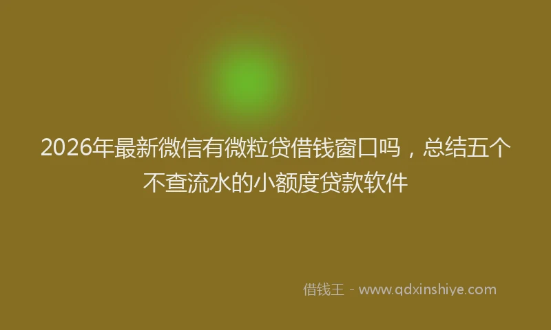 2026年最新微信有微粒贷借钱窗口吗，总结五个不查流水的小额度贷款软件
