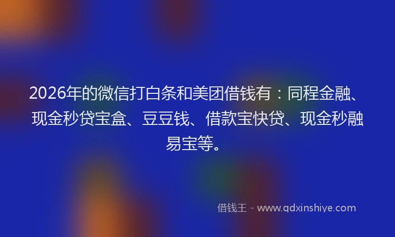 2026年的微信打白条和美团借钱有：同程金融、现金秒贷宝盒、豆豆钱、借款宝快贷、现金秒融易宝等。