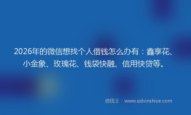 2026年的微信想找个人借钱怎么办有：鑫享花、小金象、玫瑰花、钱袋快融、信用快贷等。