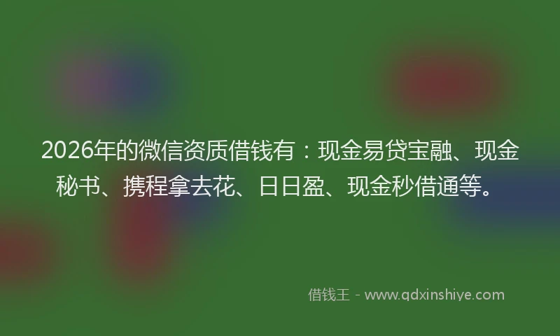 2026年的微信资质借钱有：现金易贷宝融、现金秘书、携程拿去花、日日盈、现金秒借通等。