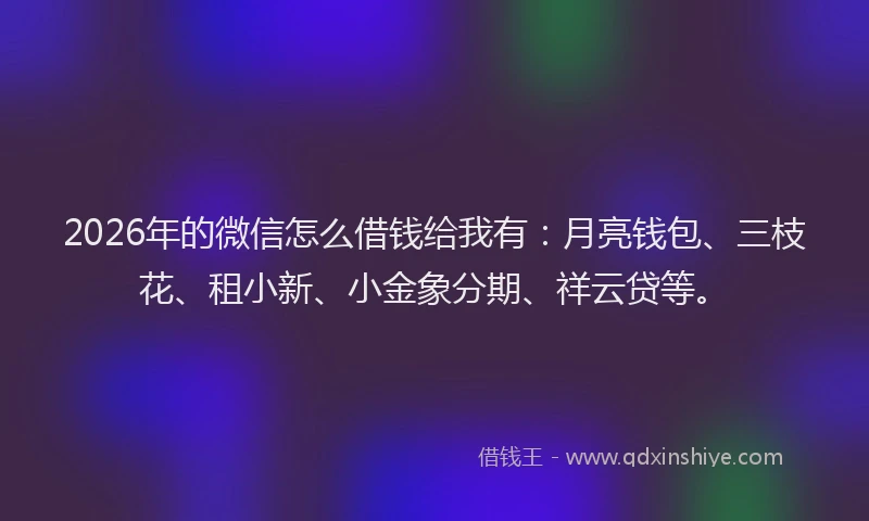 2026年的微信怎么借钱给我有：月亮钱包、三枝花、租小新、小金象分期、祥云贷等。