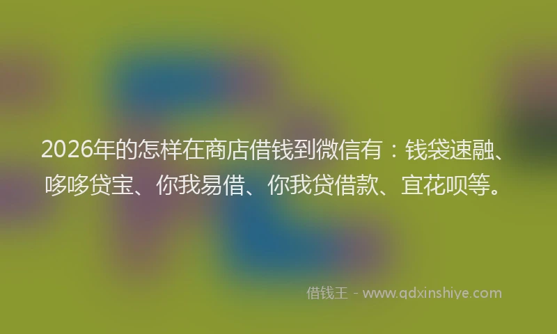 2026年的怎样在商店借钱到微信有：钱袋速融、哆哆贷宝、你我易借、你我贷借款、宜花呗等。