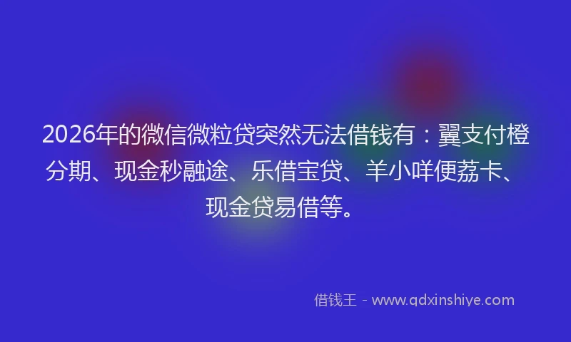 2026年的微信微粒贷突然无法借钱有：翼支付橙分期、现金秒融途、乐借宝贷、羊小咩便荔卡、现金贷易借等。