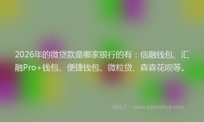 2026年的微贷款是哪家银行的有：信融钱包、汇融Pro+钱包、便捷钱包、微粒贷、森森花呗等。