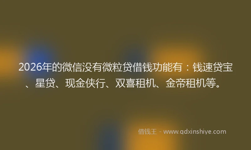 2026年的微信没有微粒贷借钱功能有：钱速贷宝、星贷、现金侠行、双喜租机、金帝租机等。