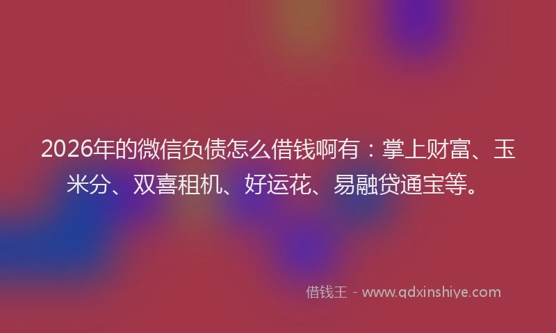 2026年的微信负债怎么借钱啊有：掌上财富、玉米分、双喜租机、好运花、易融贷通宝等。