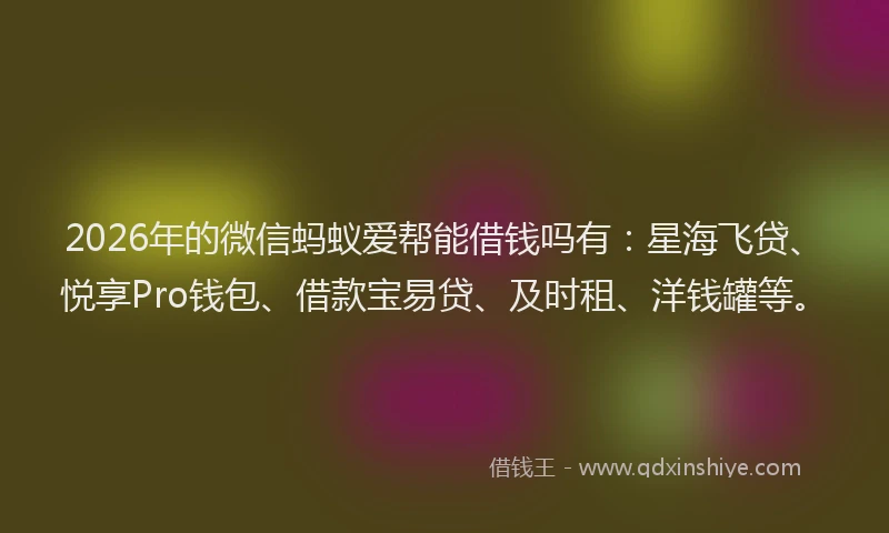 2026年的微信蚂蚁爱帮能借钱吗有：星海飞贷、悦享Pro钱包、借款宝易贷、及时租、洋钱罐等。
