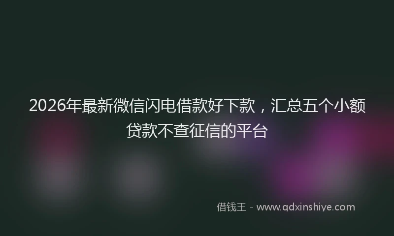 2026年最新微信闪电借款好下款，汇总五个小额贷款不查征信的平台