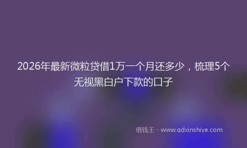 2026年最新微粒贷借1万一个月还多少，梳理5个无视黑白户下款的口子