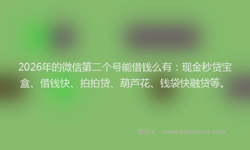 2026年的微信第二个号能借钱么有：现金秒贷宝盒、借钱快、拍拍贷、葫芦花、钱袋快融贷等。