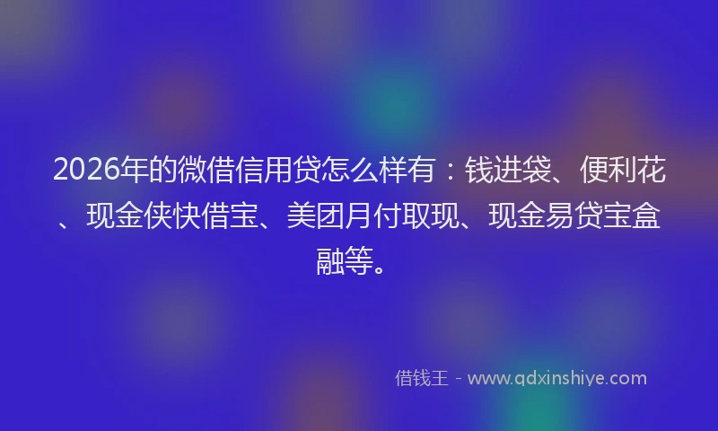 2026年的微借信用贷怎么样有：钱进袋、便利花、现金侠快借宝、美团月付取现、现金易贷宝盒融等。
