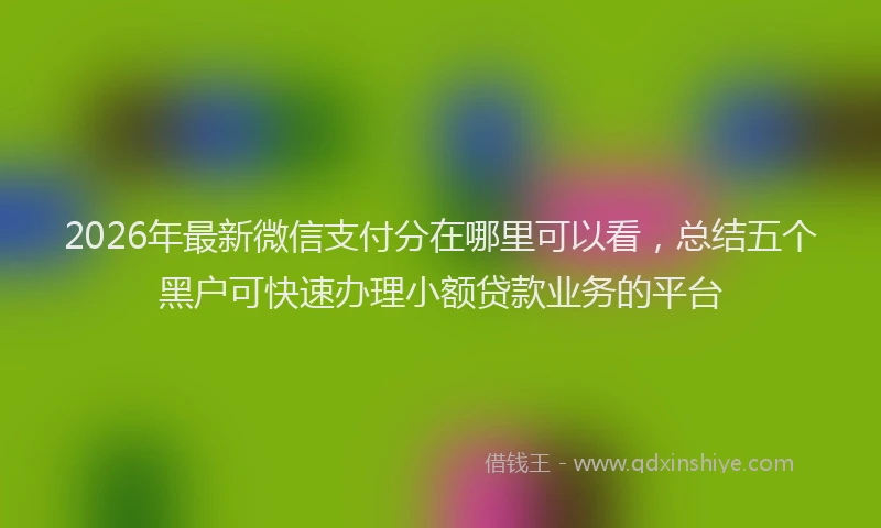2026年最新微信支付分在哪里可以看，总结五个黑户可快速办理小额贷款业务的平台