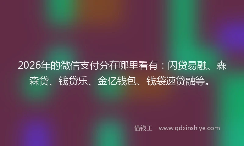 2026年的微信支付分在哪里看有：闪贷易融、森森贷、钱贷乐、金亿钱包、钱袋速贷融等。