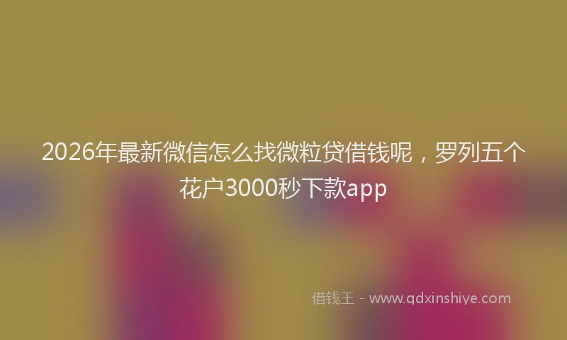 2026年最新微信怎么找微粒贷借钱呢，罗列五个花户3000秒下款app