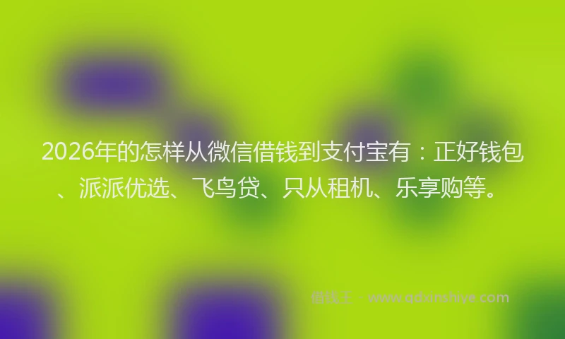2026年的怎样从微信借钱到支付宝有：正好钱包、派派优选、飞鸟贷、只从租机、乐享购等。